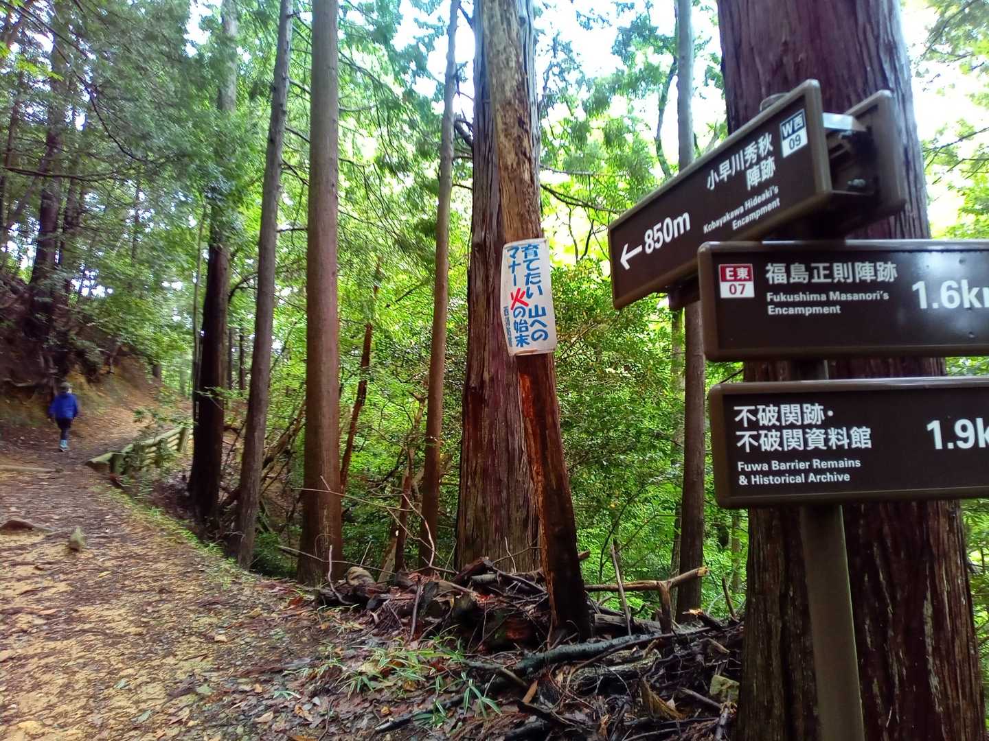 楽ちん登山です☺️