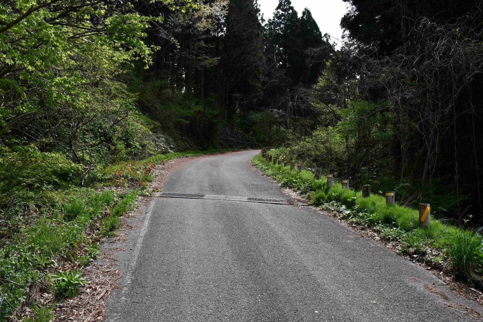 大好き1位 高坪山のいちばん嫌いなところはここ。
多分 ここが1番つらい。