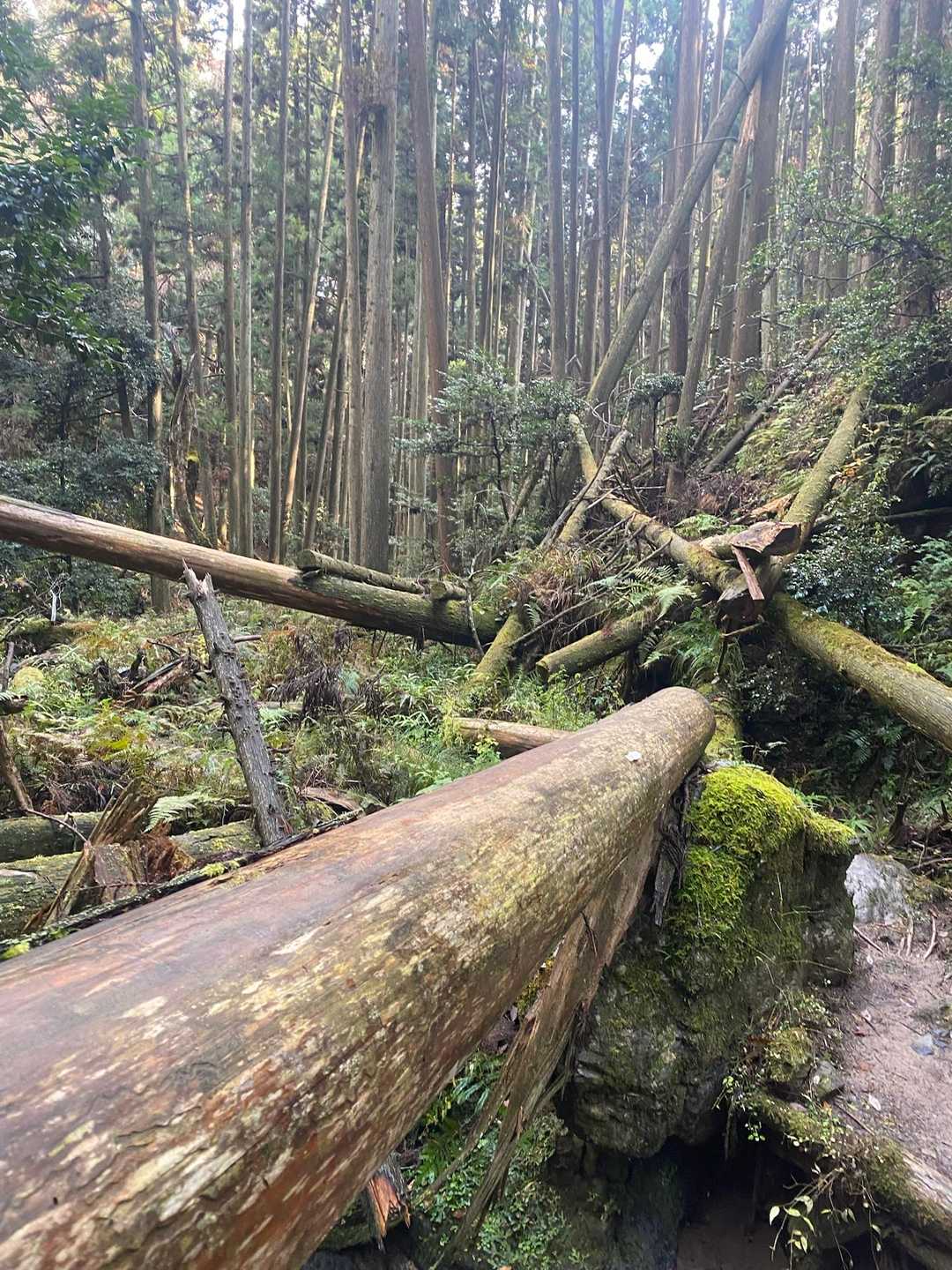 なかなか荒れてます💦