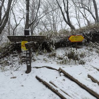 鍋割山との分岐の金冷し到着
ここまで来ればあと少し