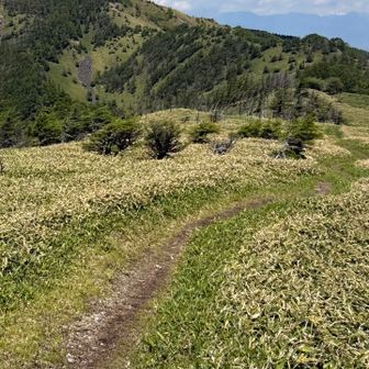 鉢伏山見えてきた