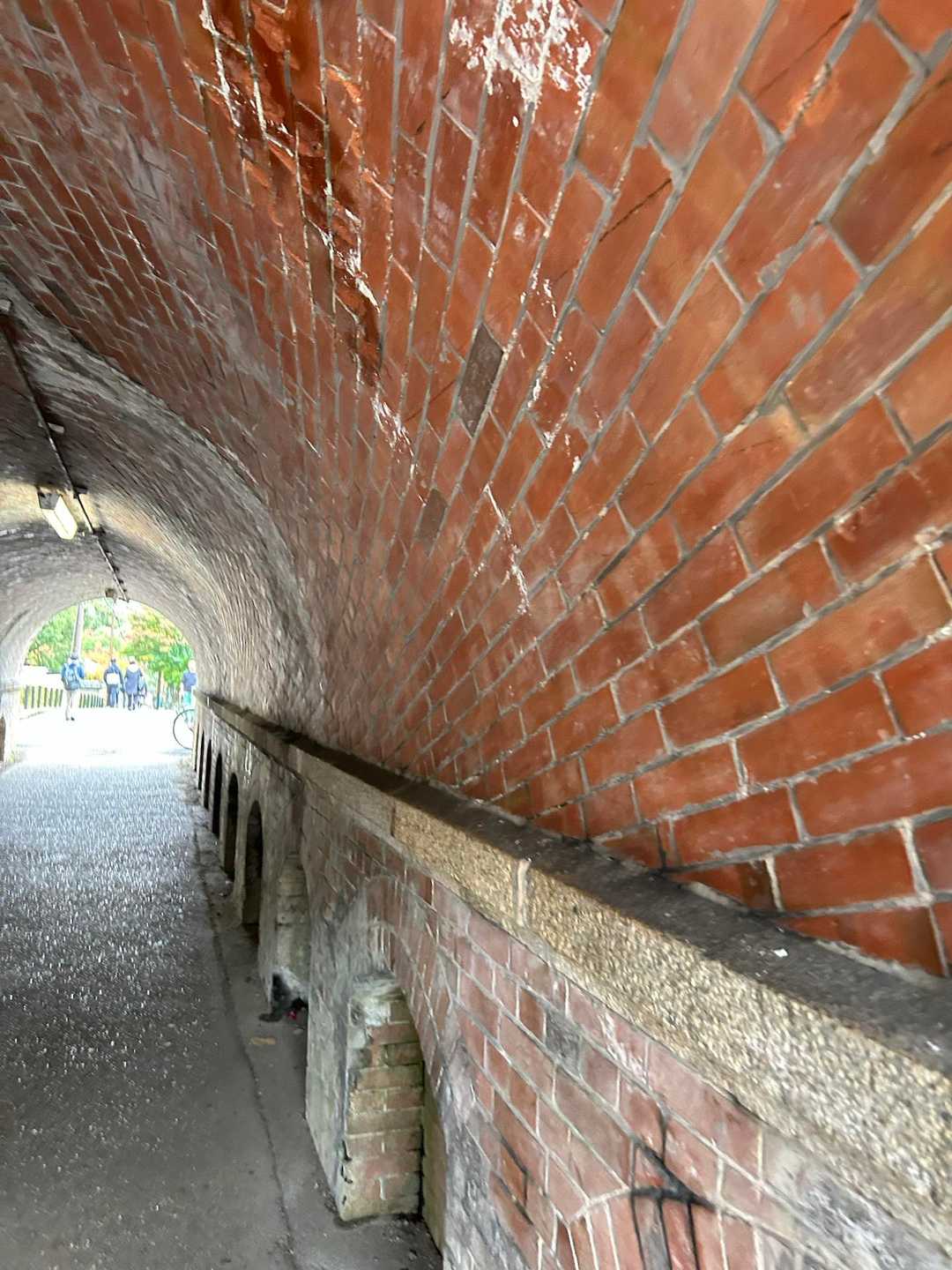 蹴上コース | 京都市街を一望できる大文字山頂の絶景の写真