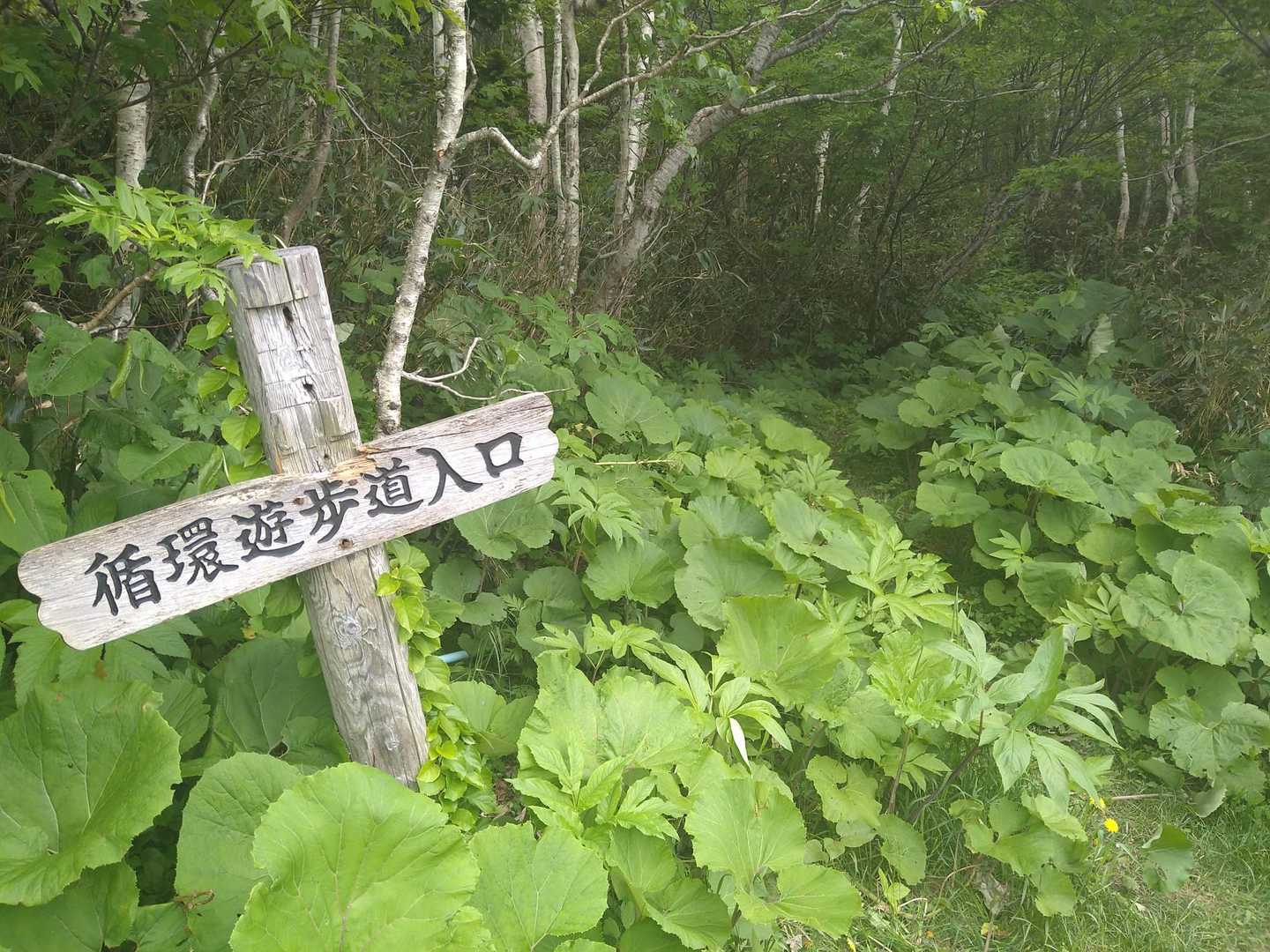 登山口に到着