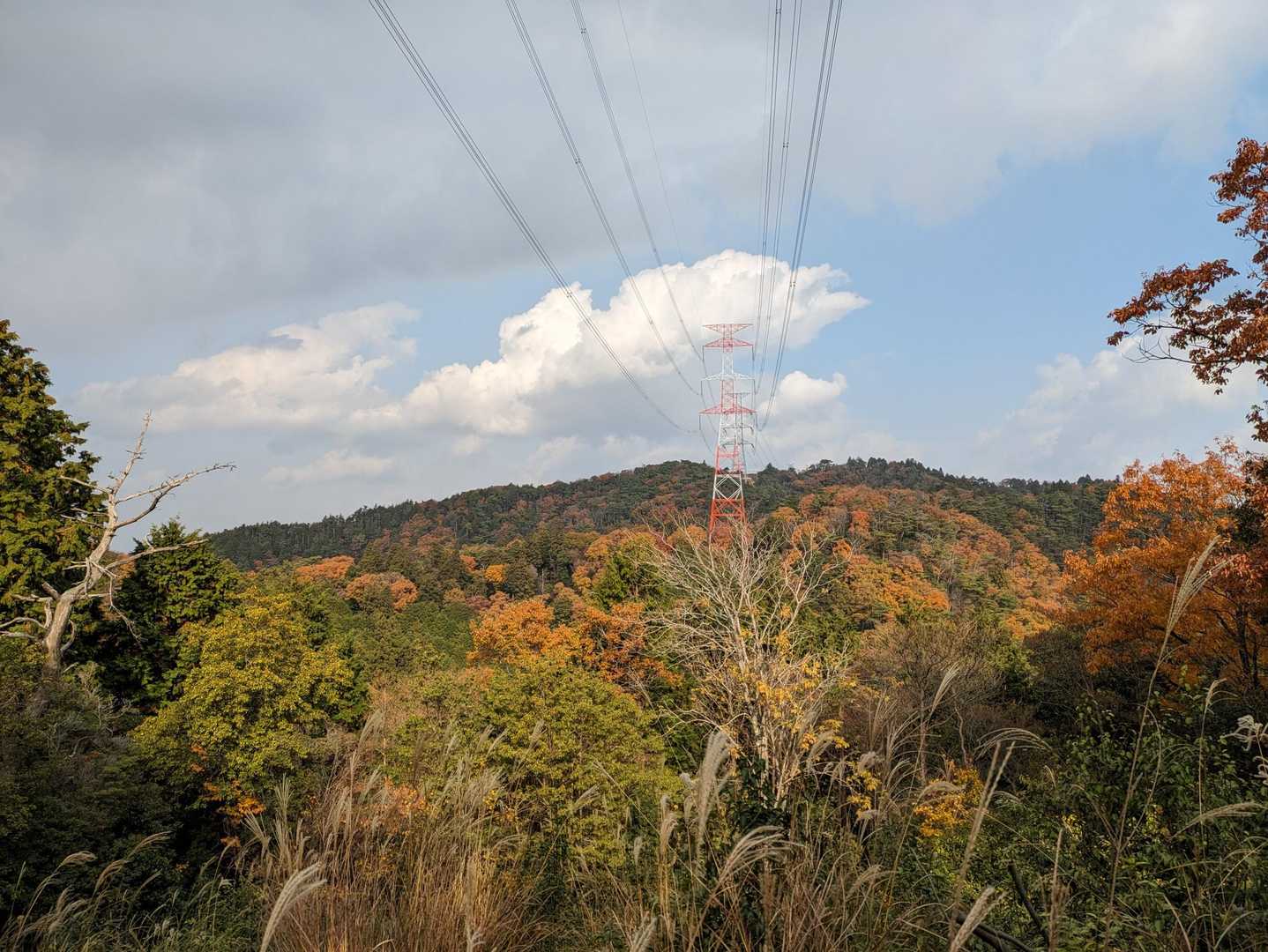 自然と人工物のコラボ😄