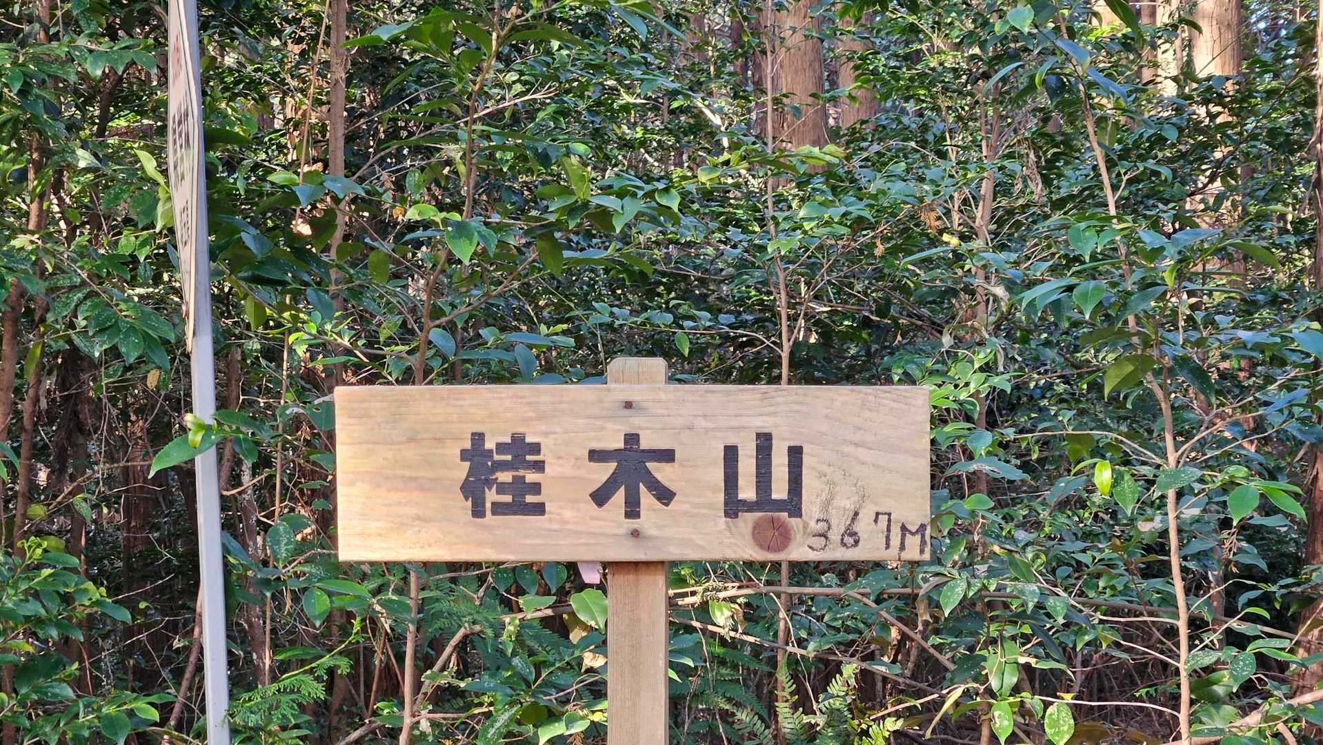 越生駅-大観山-根っこ山-大高取山-桂木山 周回コースの写真