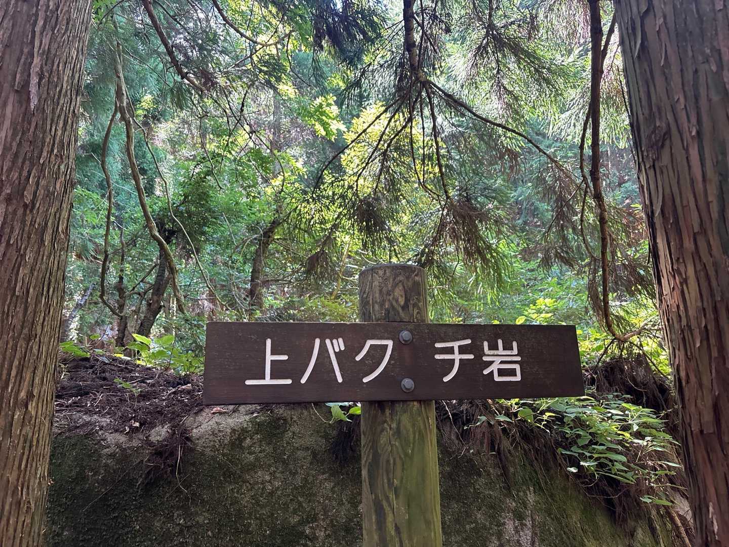 玉峰山 周回コースの写真