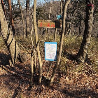 裏天狗だそーです👺