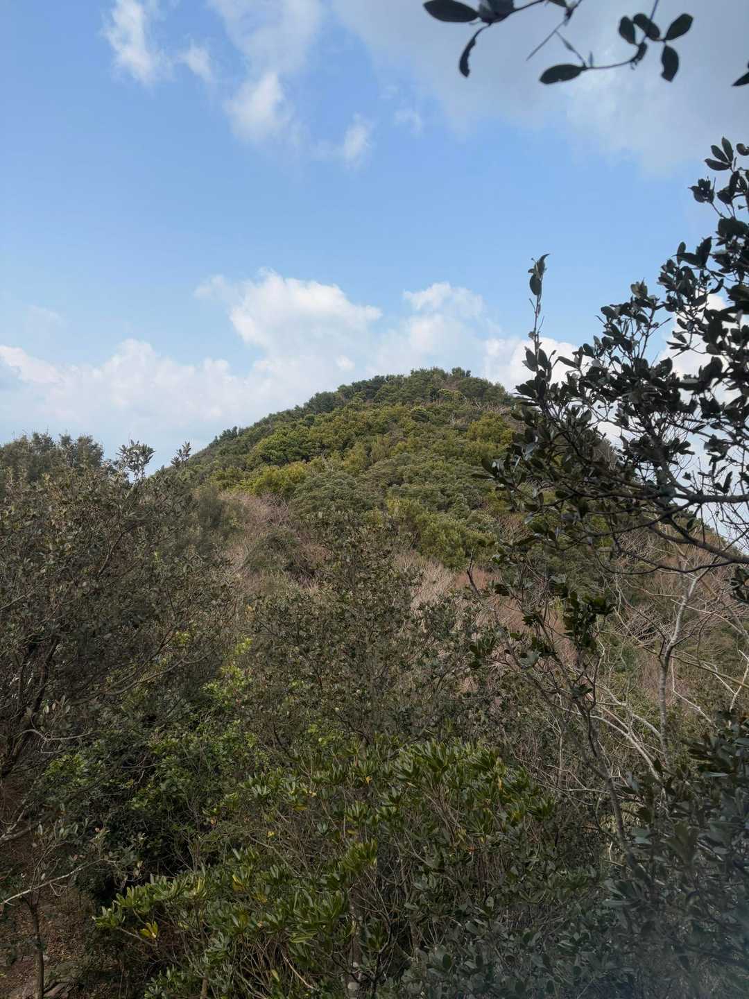 前方は、これから行く由良山
