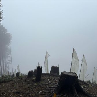 白岩山山頂からの眺め👀
真っ白〜🤣
赤ぼっこがこの辺りから見えるらしい