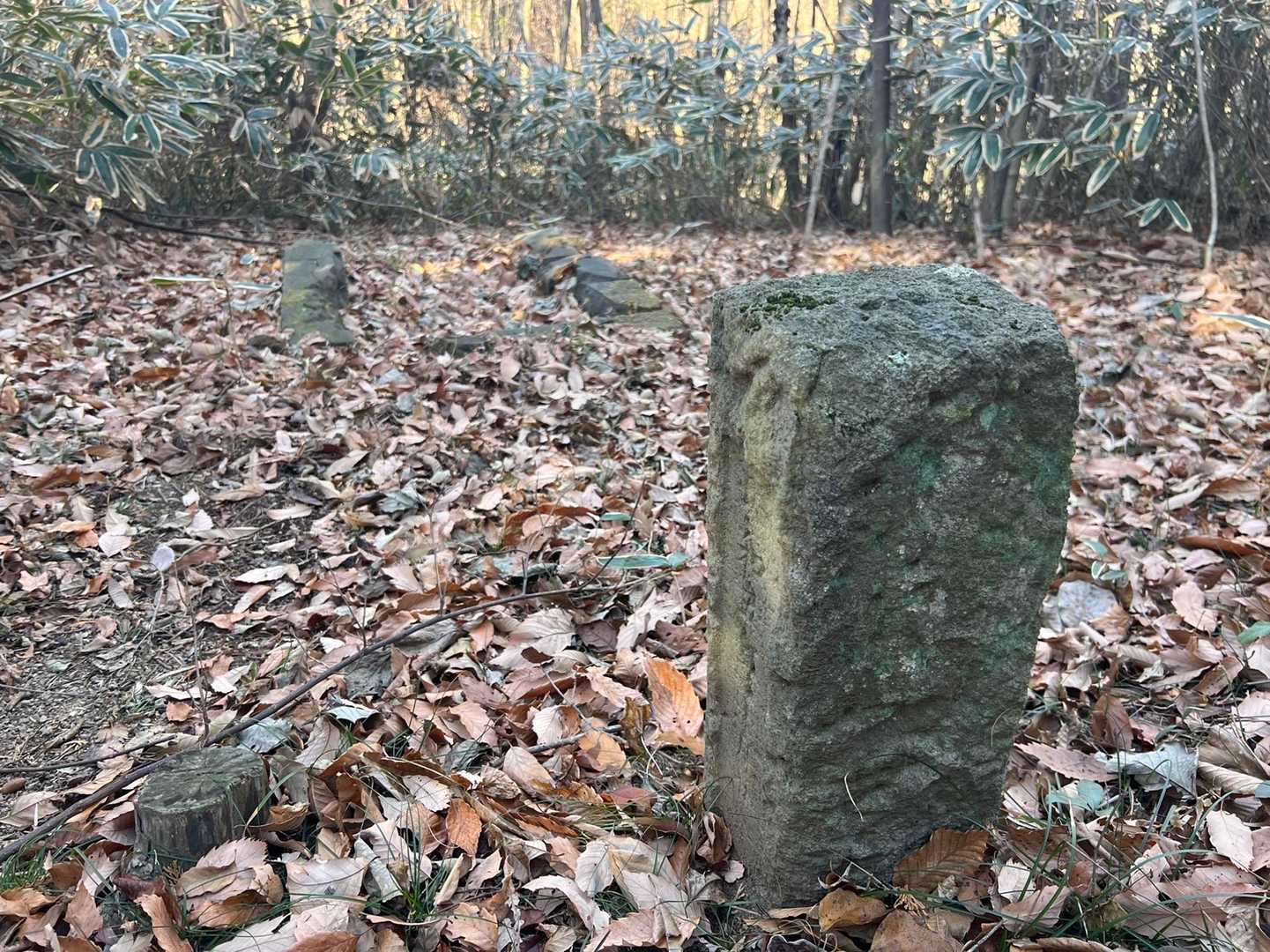 崇台山 往復コースの写真