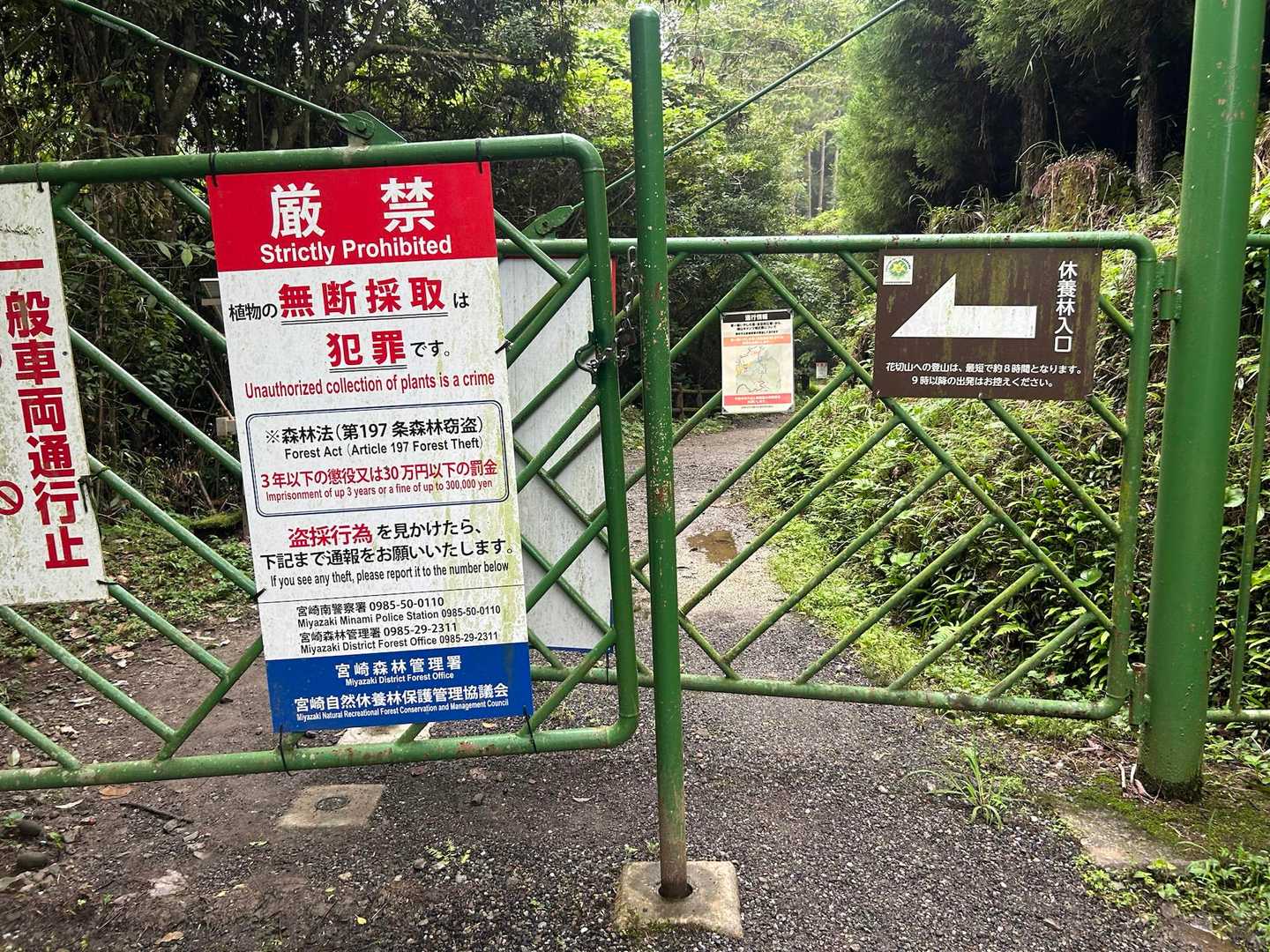 さぁ、頑張ります💪