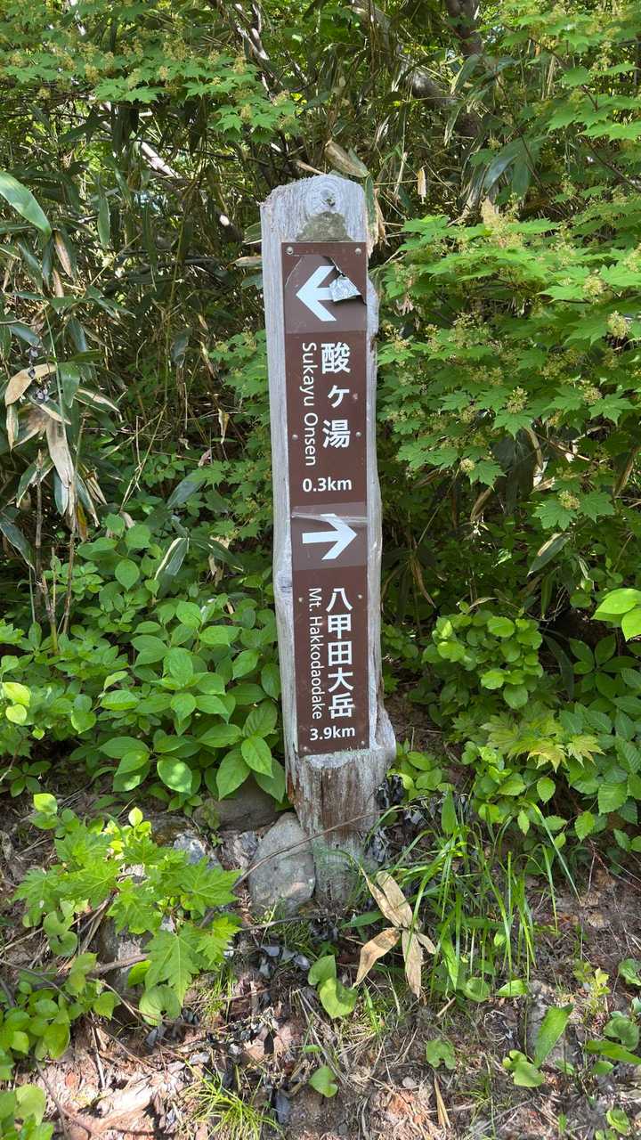 八甲田山（大岳・井戸岳・赤倉岳）／青森遠征Day2 の写真 3