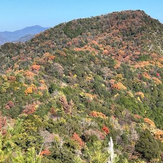 かなり色づいてます🍁