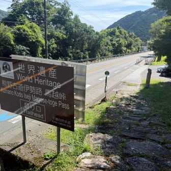 やっと下り切った
こちらには熊野古道の立派な看板