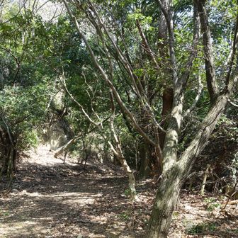 ①十文字山に到着⛰️