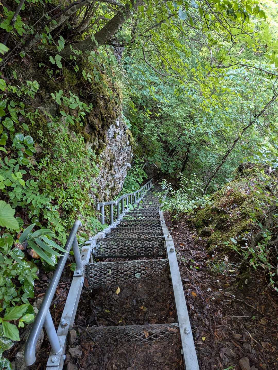 青葉山 縦走コースの写真