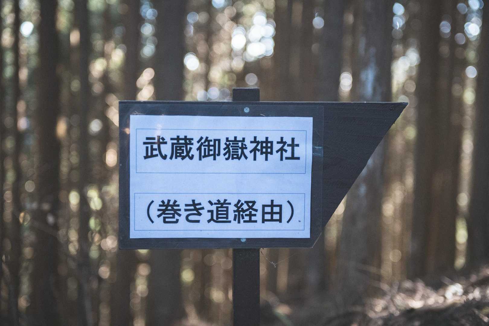 日の出山-梅野木峠-日向和田駅 縦走コースの写真