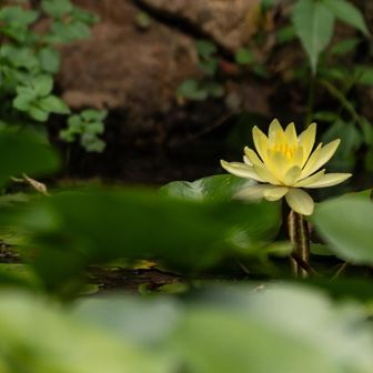 おかげで
滋賀＆岐阜の行きたい所が増えつつある