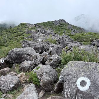 お昼を食べてから天狗岳へ出発
天狗の奥庭経由の登山道は大きめの岩がゴロゴロ😣
ありがたいことに目印は多いですが、ガスが出ていると迷いそうです
何度かコースから外れてYAMAPを見て軌道修正しながら進みます