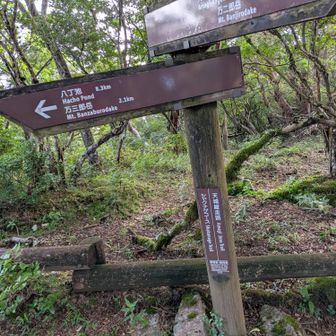 万三郎岳に向かいます。