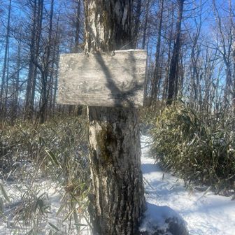 ここら辺が中嶽