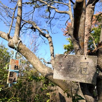 子鶏冠山⛰️438m