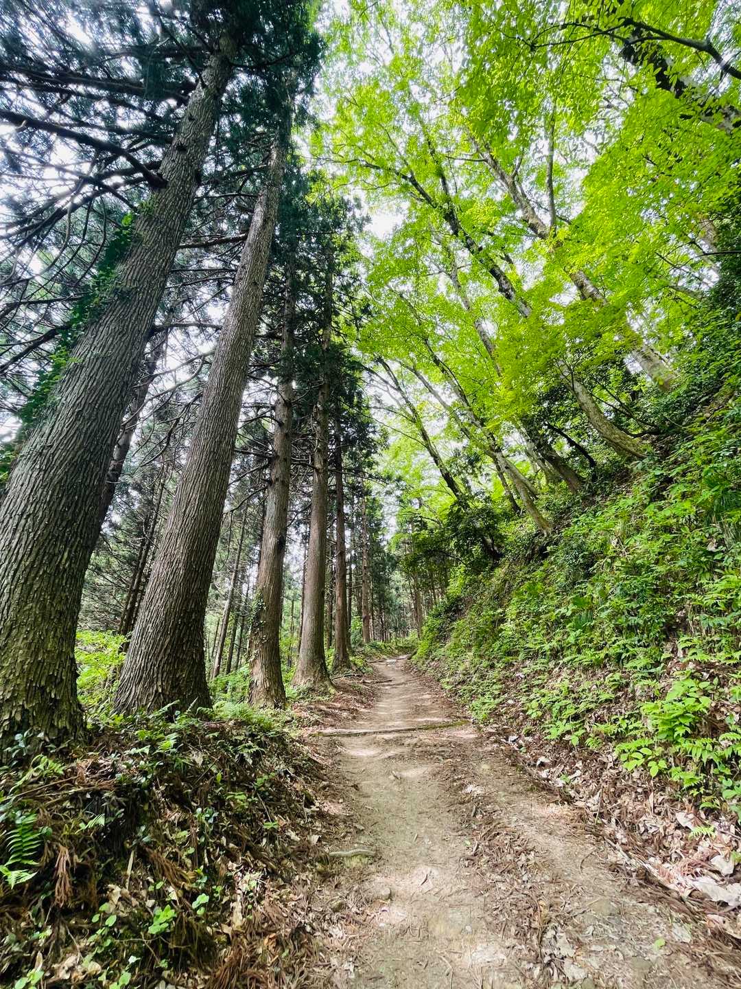 今日もお願いしまーす🚶‍♀️