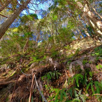 筆捨山を下りていきます。鎖が続いています。

この後、分岐から下ったあと急登です。赤テープ頼りにYAMAPルートより右側を登ります。結構、ザレていて気が抜けませんでした。登るのはなんとか行けますが、上級者でなければ、ここを下るのはやめたほうがよいかもです。
