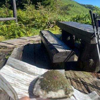 駒の小屋で間借りして、民宿の朝ごはん。
梅干し握りが、しそで包まれてました。