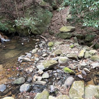 ここ渡っていきました