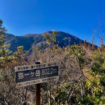 初⛰️弥一ヶ岳