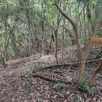 やすらぎの広場方面へ