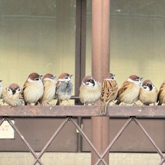 腹黒い子が1匹いる🤣