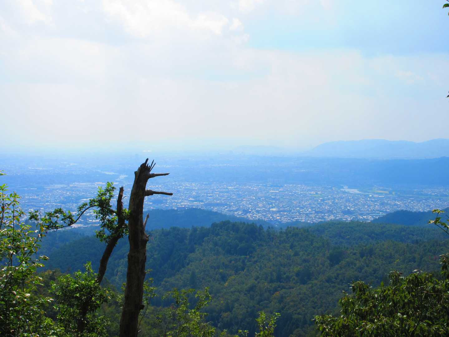 釈迦谷山-上ノ水峠-仏栗峠-栂尾町バス停 縦走コースの写真