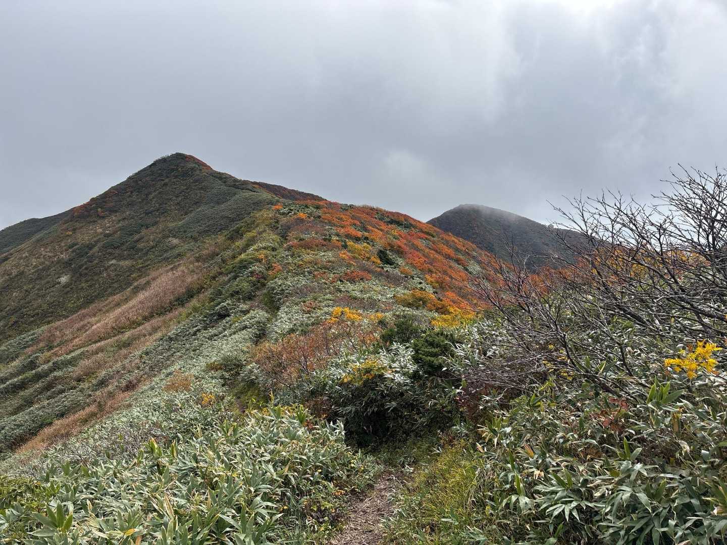 山頂への稜線です。