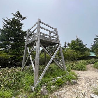 展望櫓からはアルプスが見えるとの事だが

展望櫓が金沢の白兀山山頂を思い出させる😭