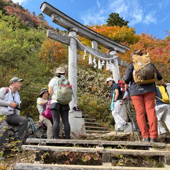 ニノ鎖鳥居からさらに人が増えた。