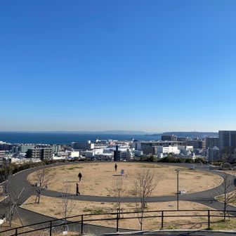 景色が抜群に良かった✨