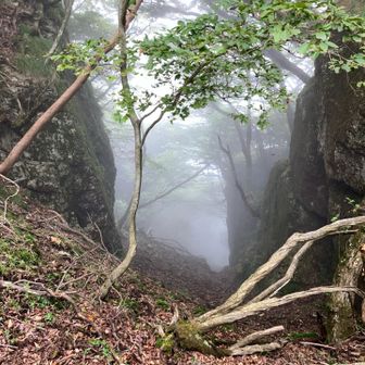 吸い込まれそう！