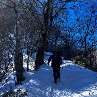 本日の師匠
そいや
私の初山行は
本日の師匠と一緒に
ナイトハイク石鎚ご来光だったわ😆
今思えば　登山初心者で
いきなりナイトハイクで石鎚かよっ笑