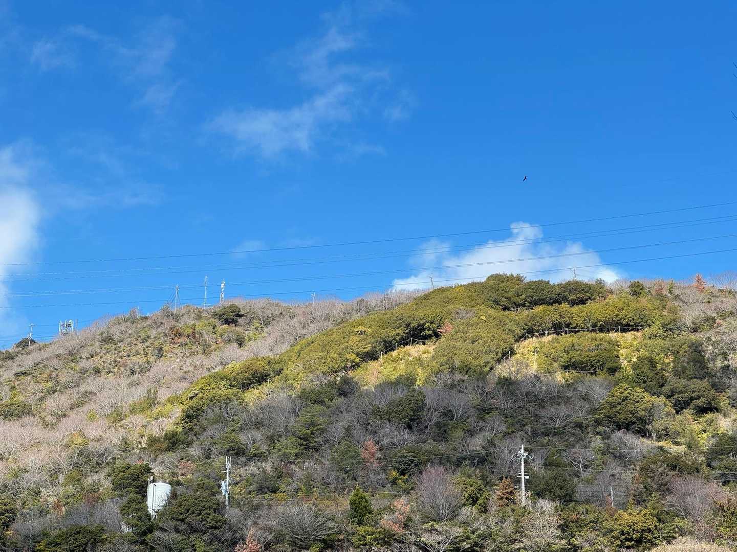ずーっと昔からある、
赤穂の市章ぽい『赤』の電飾の山はここです。

左上のｱﾝﾃﾅが山頂。
山頂手前の電柱【４７】番あたりから振り返ると、
いい天気の日は明石大橋が綺麗に見えるよ〜と教えていただきました！(*^^*)
また見に登ります！