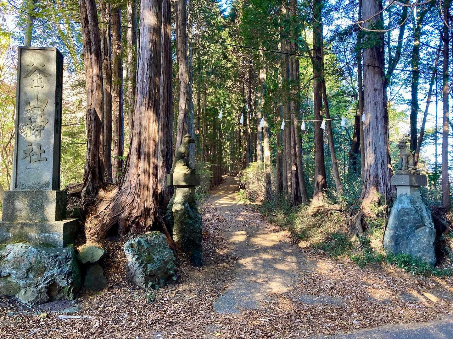 釜山神社⛩️に到着です♪