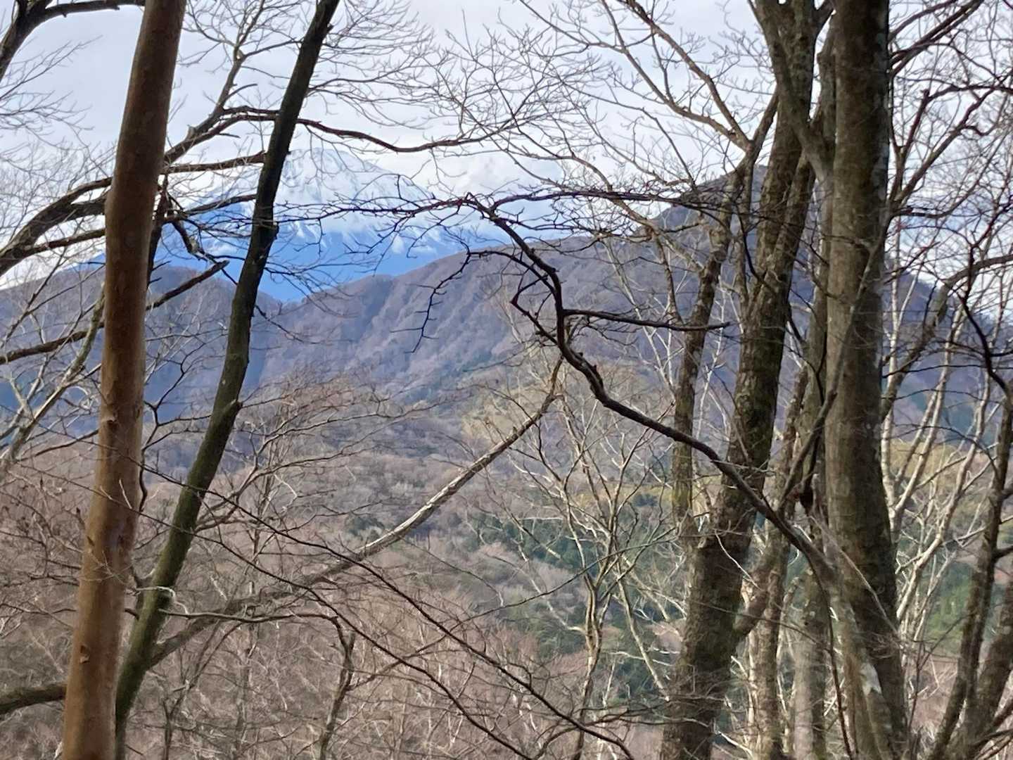右手には金時山と富士山が見えます。
