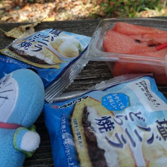 ここで差し入れのスイカ🍉と、どら焼をよばれてから、古津山へ
