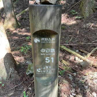 いつの間にやら51になってました😅