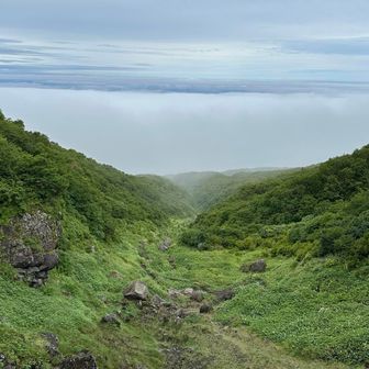 振り返ると雲海