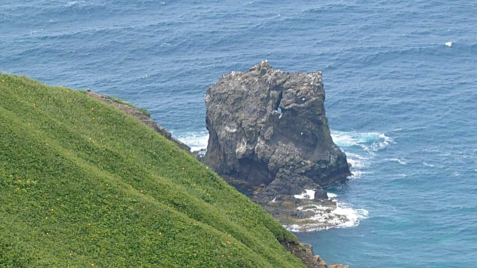 猫岩・・猫に見えてきた・・