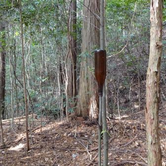 どこかで見たようなビンマーク
こちらへ移動されたようだ