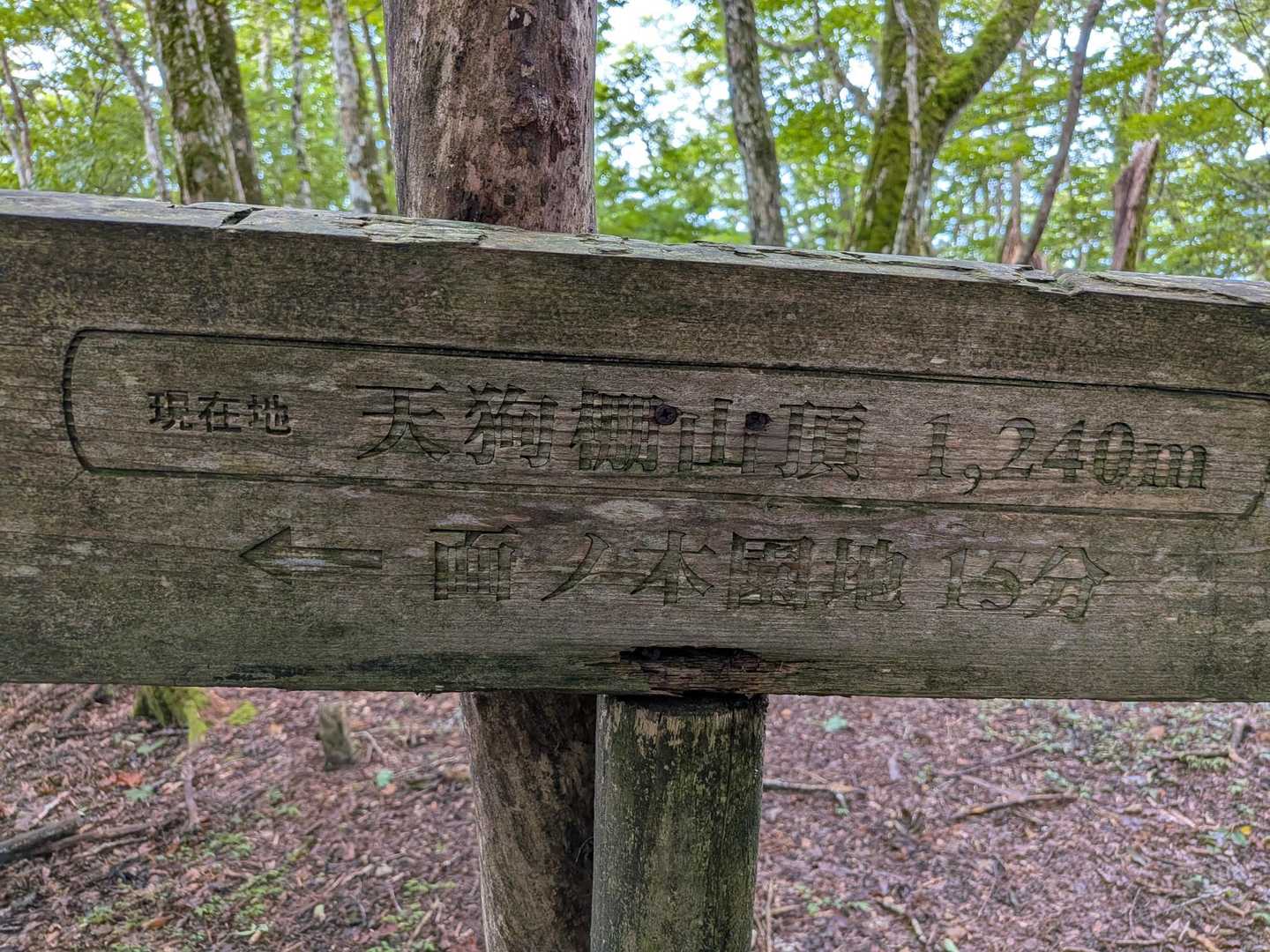 👺だなー山頂⛰️