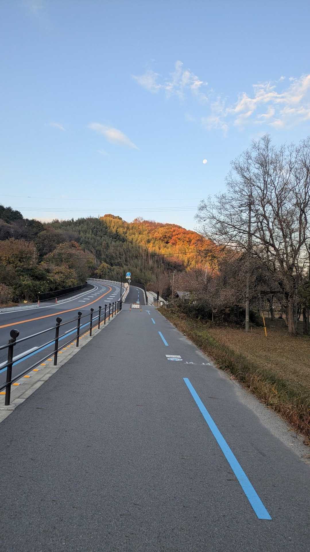 岡山登山口-岡山-取り付き 往復コースの写真